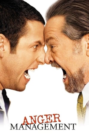 Anger Management (2003) Hindi Dual Audio HDRip | Hindi Dubbed Movie – 480p